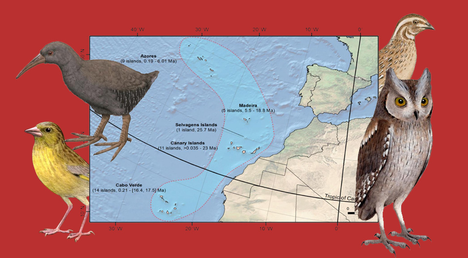   N + 1; Jairo Patiño et al. / PNAS Nexus, 2025