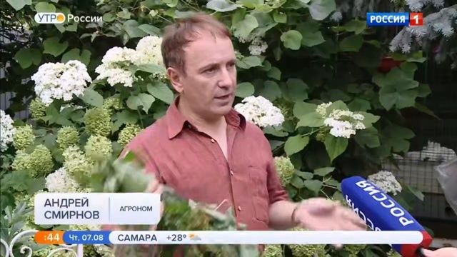 А у нас так и прет, так и прет..