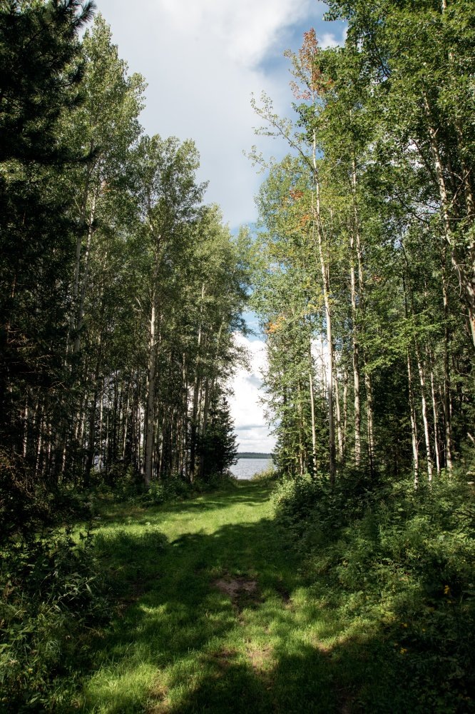    В Югре с 30 августа откроется сезон охоты