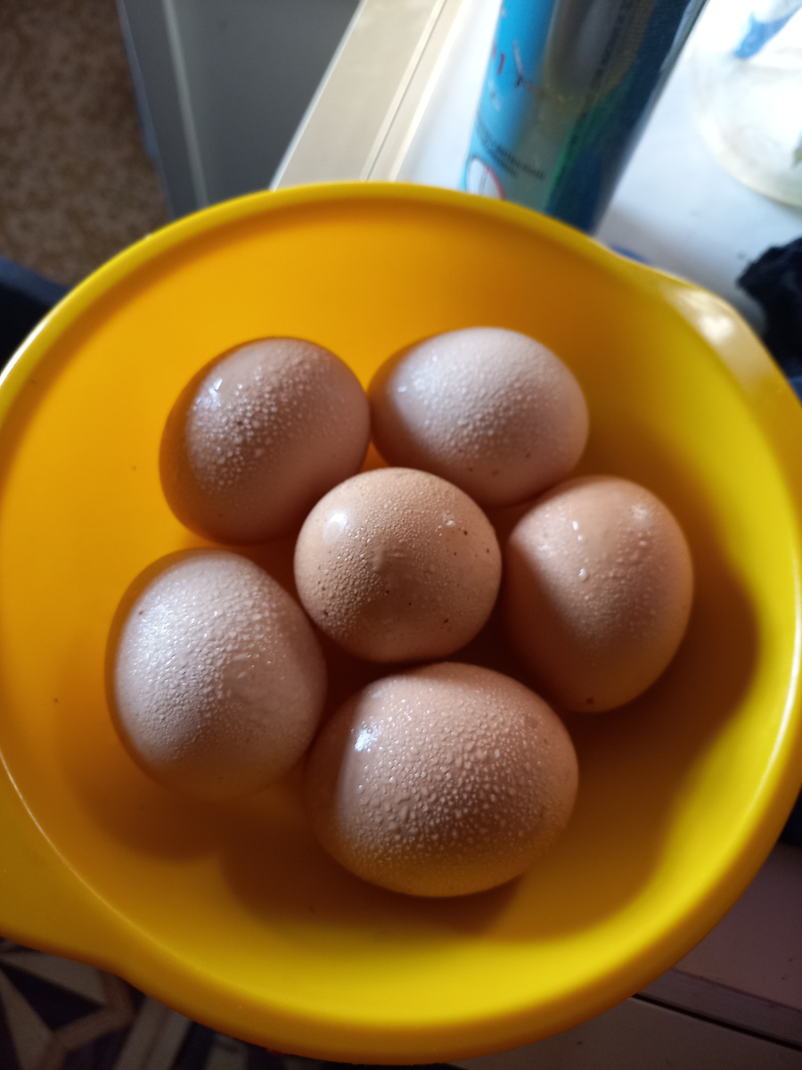 Фото сделал когда осталось всего 6