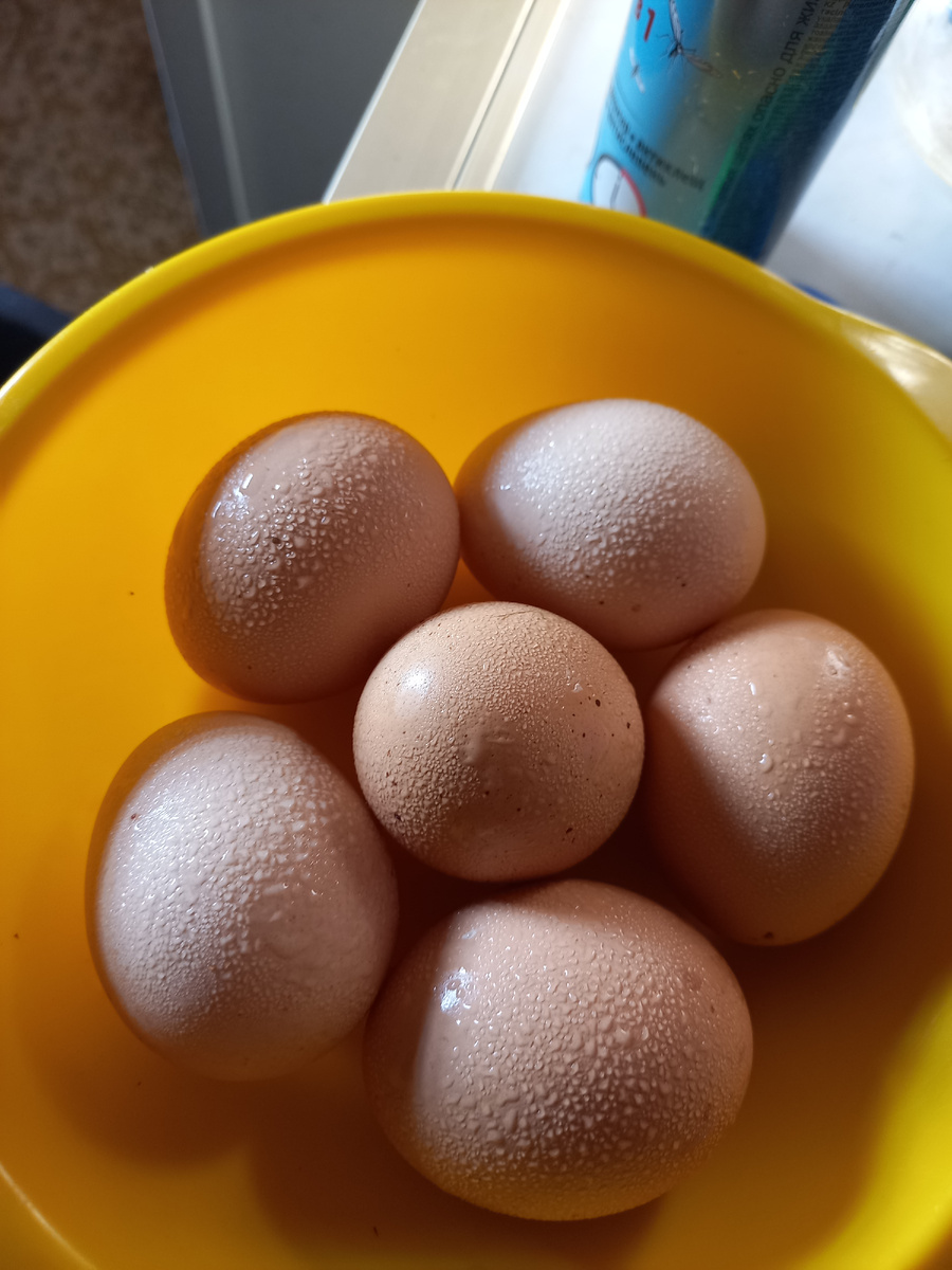 Покупался десяток 