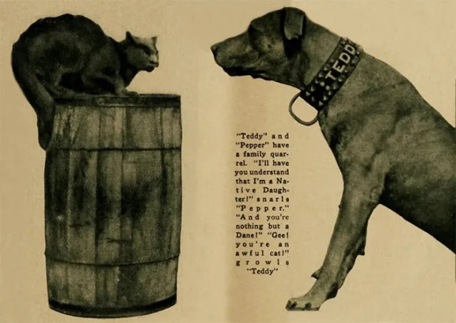 Пепер и Тедди изображают конфликт