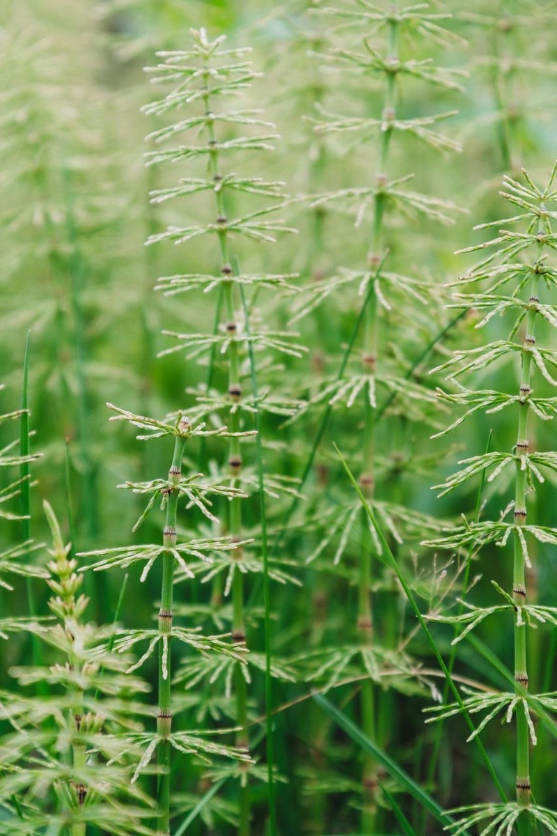 Фотограф: Laura Paredis: https://www.pexels.com/ru-ru/photo/19499787/