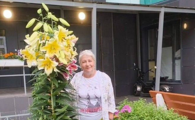    © Telegram-канал «Девяткино online | Мурино»