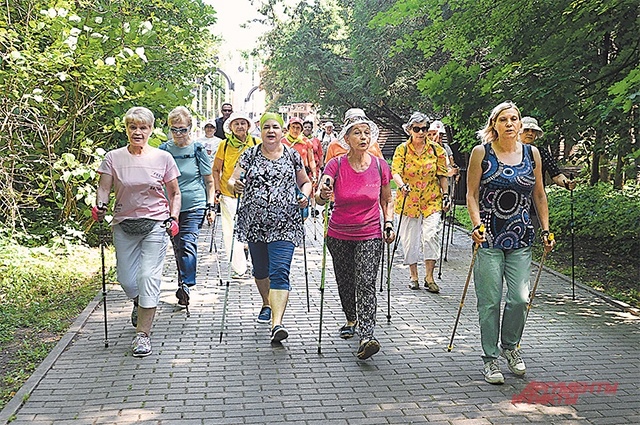    Скандинавская ходьба Фото: АиФ/ Эдуард Кудрявицкий