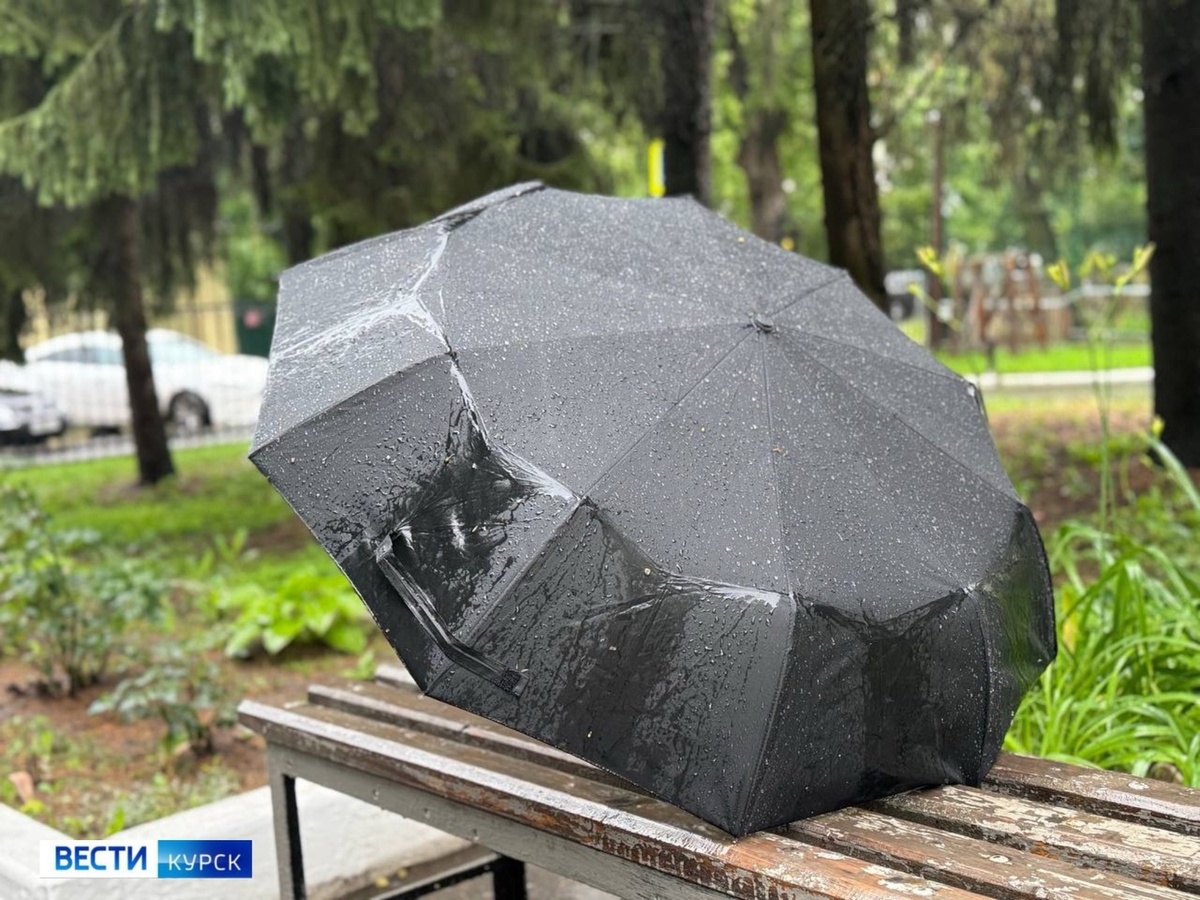    Кажется, в Курске дождь собирается...