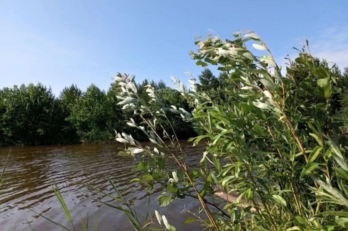    15-летний подросток утонул во время купания у водопада Плакун в Прикамье