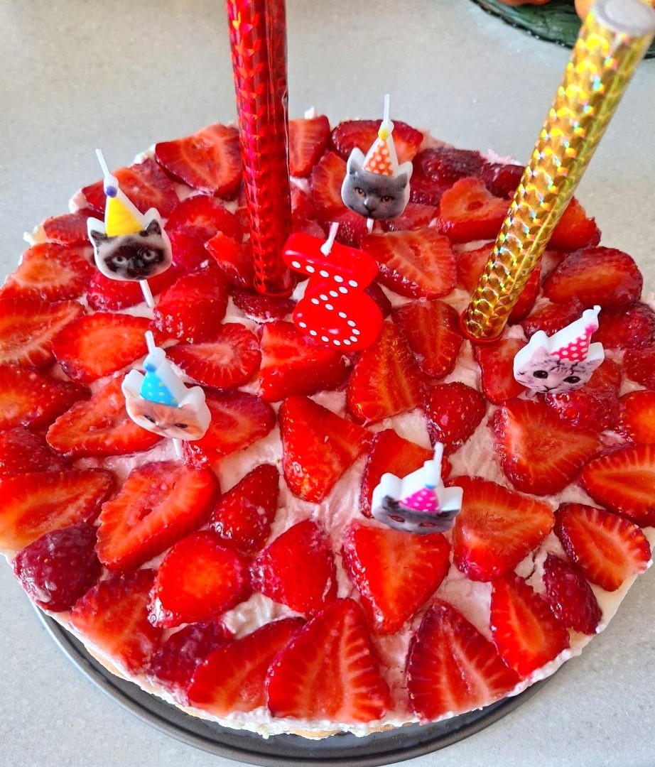 Коты и клубника - комбо)