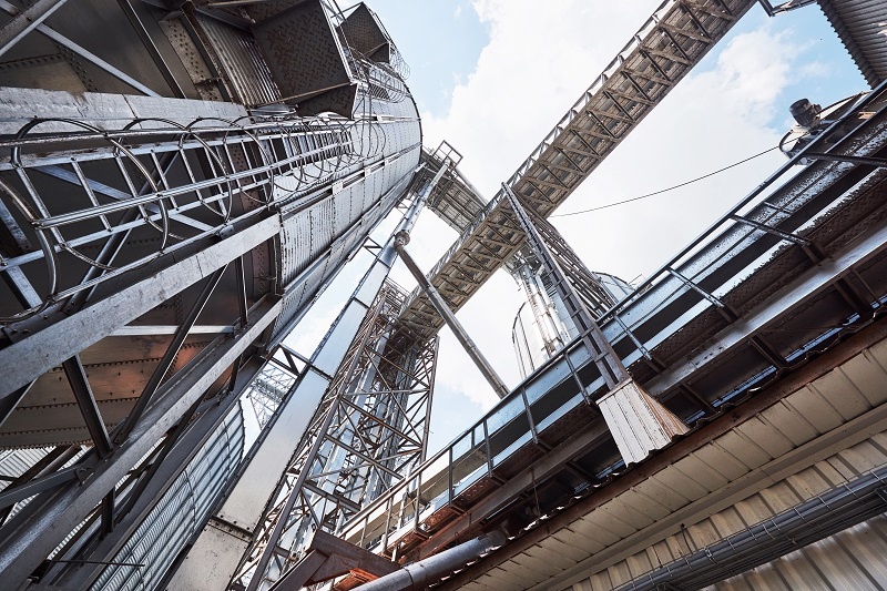    Фото: standret/Freepik