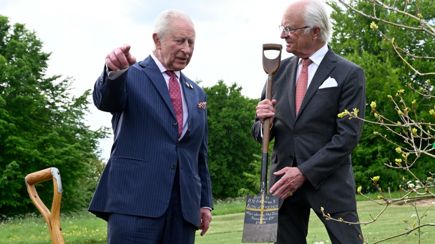    Фото: www.globallookpress.com/Fredrik Sandberg; 5-tv.ru