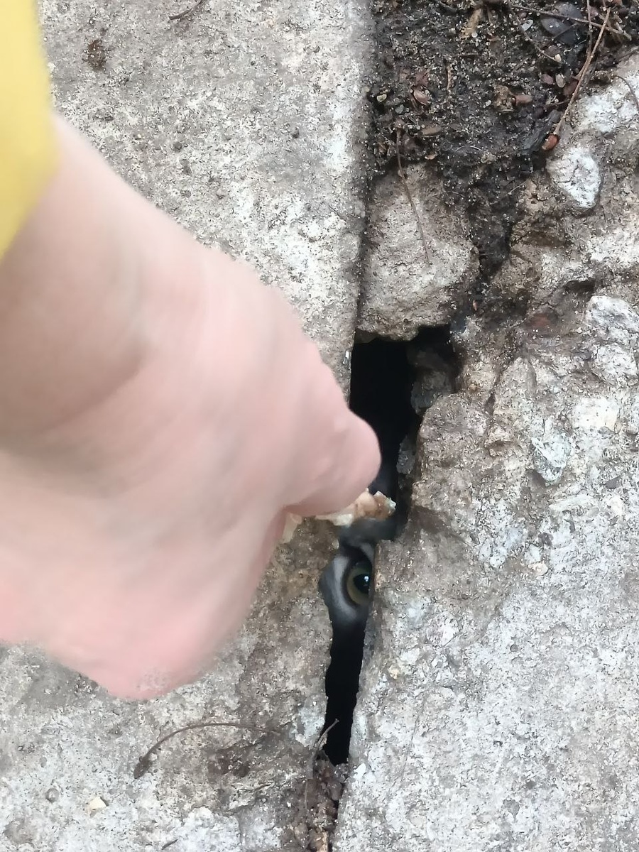 Глазик несчастного пленника, выглядывающий из-под плиты