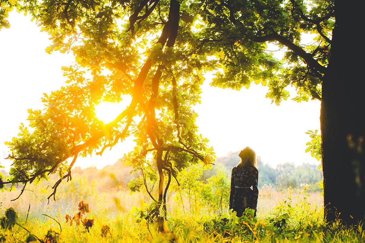 oleg66 / Getty Images