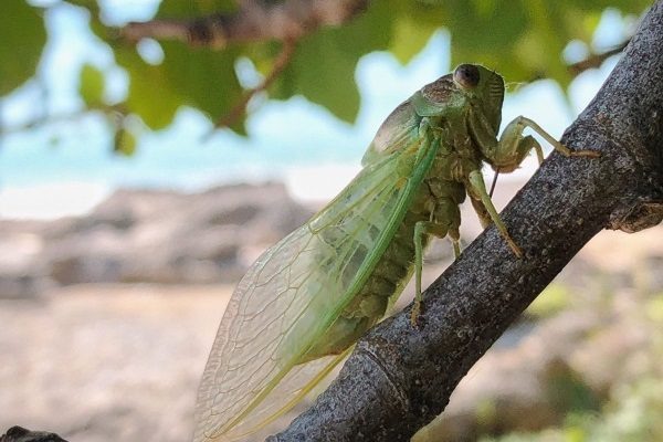 Фото: Наталья Елагина