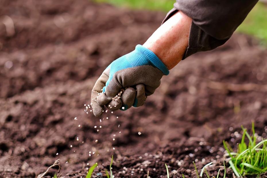    Shutterstock/FOTODOM