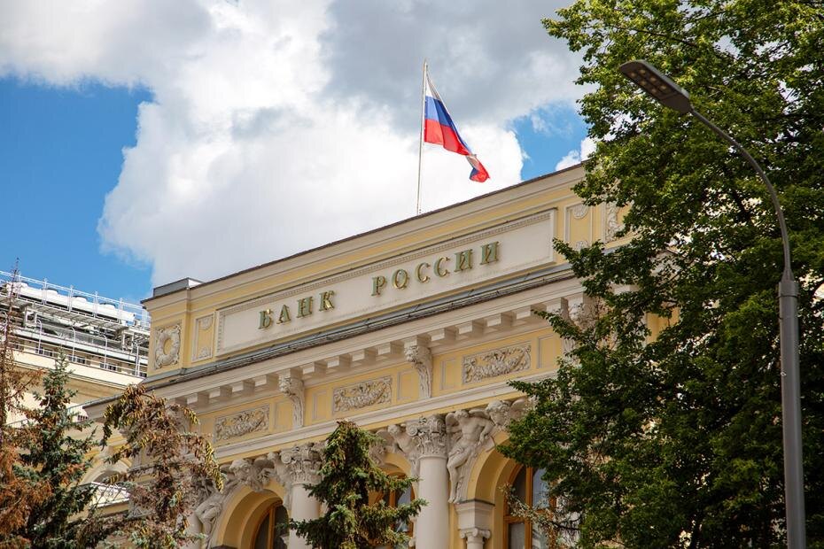    Илья Кошелев/NEWS.ru