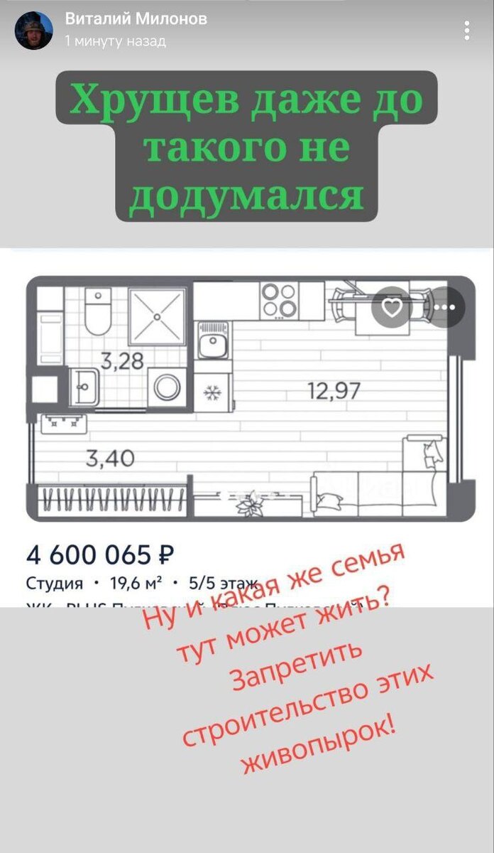    Скриншот: Виталий Милонов