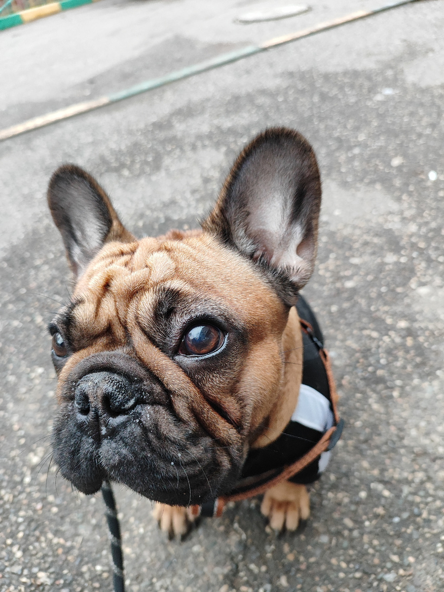 Уже на второй день лечения, результат радует. Последовательность и регулярность делают своё дело 