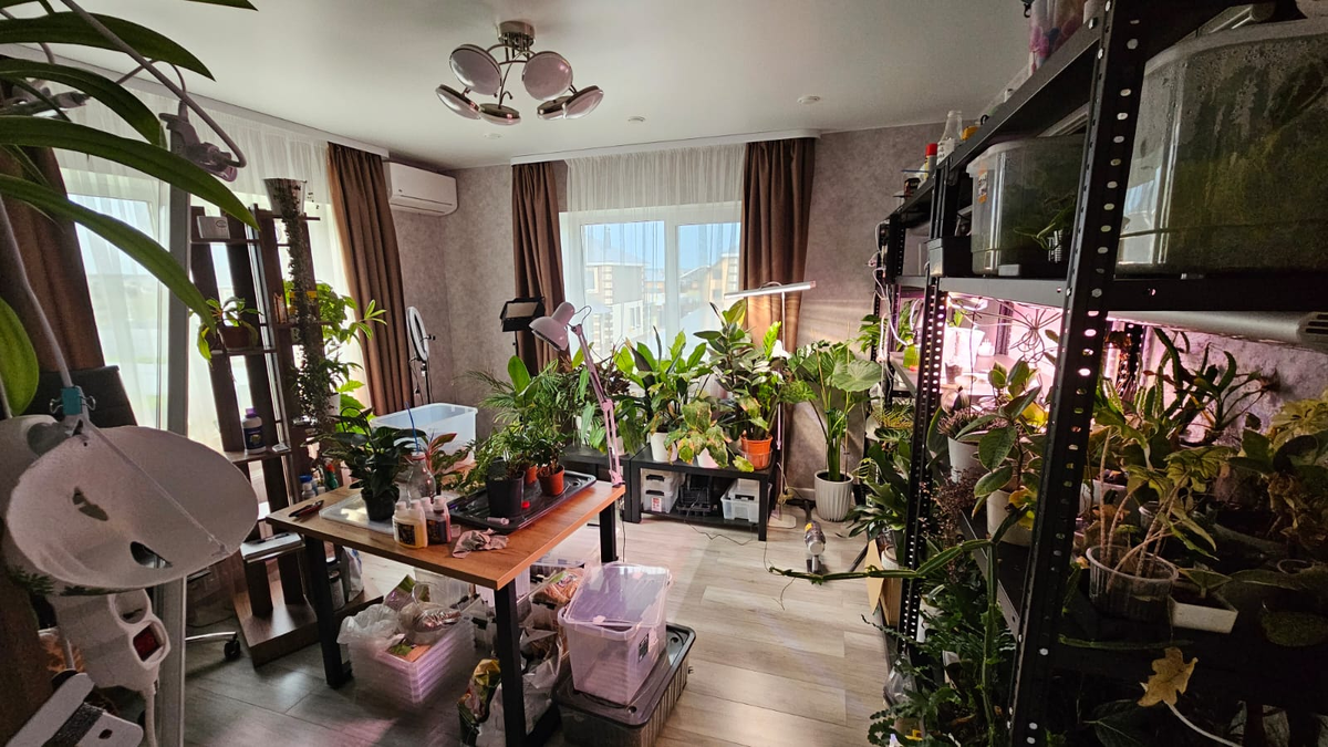 Моя цветочная комната