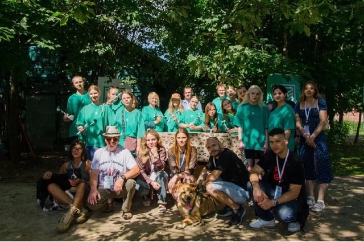    Цепочка добра: как смоленские волонтёры строят мосты к новой жизни