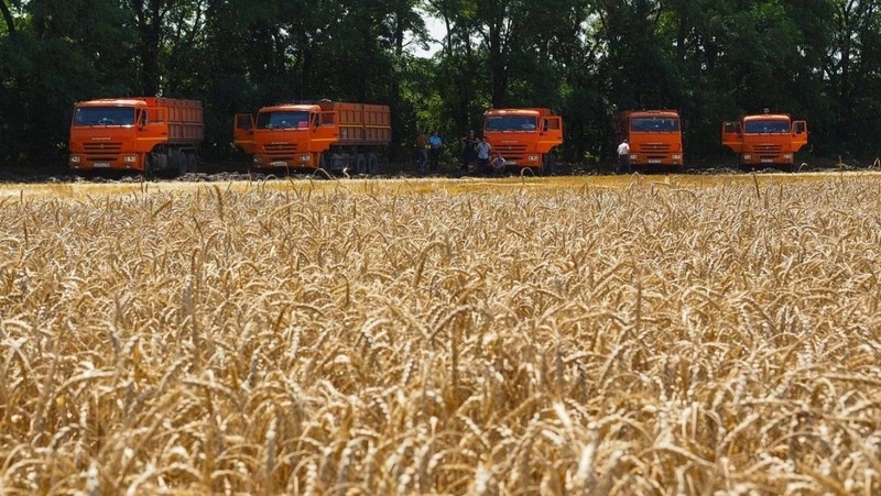      Фото: Правительство СК