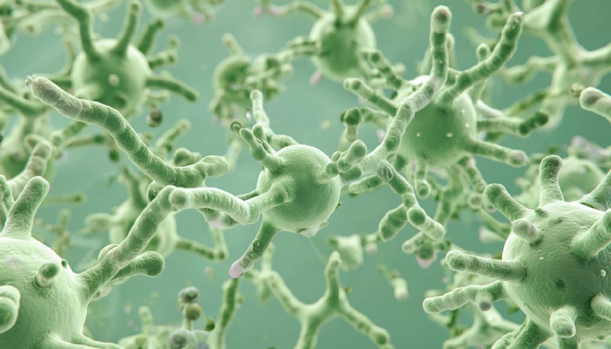    Фото сгенерировано Kandinsky 4.1