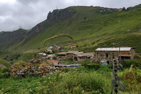 Фото: Александр Гальперин/РИА Новости
