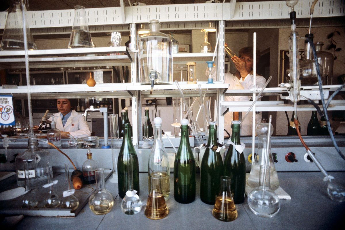    Всесоюзный научно-исследовательский институт виноделия и виноградарства «Магарач» (ныне Всероссийский национальный научно-исследовательский институт виноградарства и виноделия «Магарач» РАН) в Крыму, 1985 год