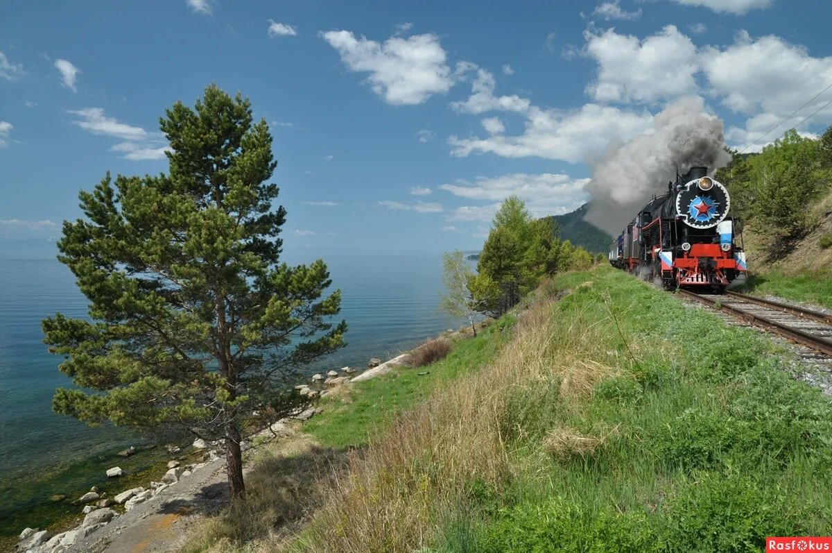 источник: baikal-green