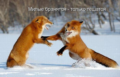 -7
