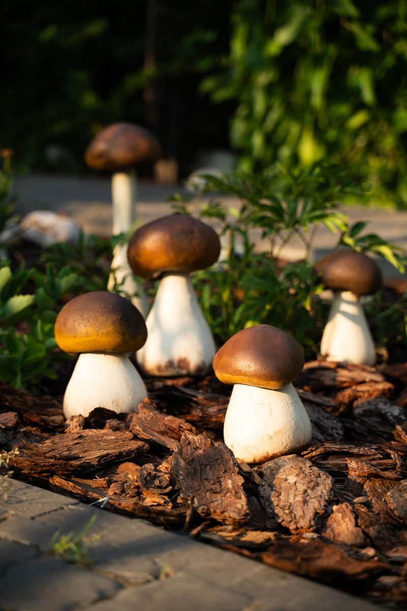 Грибы из цемента и носка