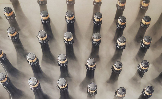    © Пресс-служба правительства Ленинградской области