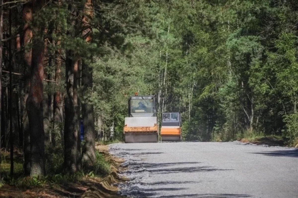    В Рыбинске начали укладывать асфальт на дороге к детскому лагерю