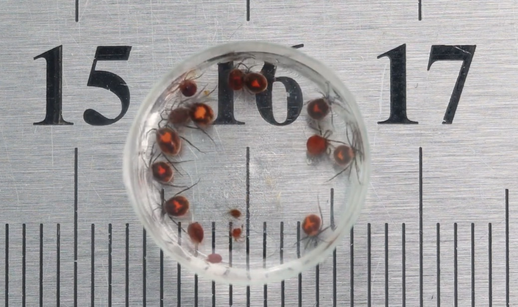 Смотрю на них и сразу агрессия какая-то в душе...