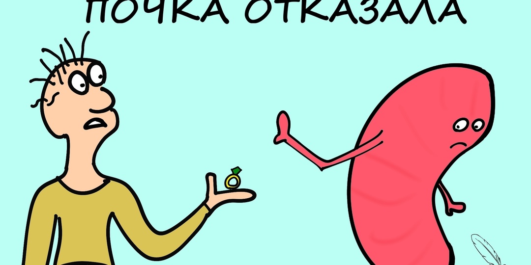 Почки молчат до последнего: вот как они тихо дают знать о себе