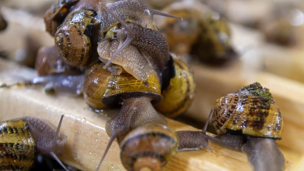    Komsomolskaya Pravda//Globallookpress