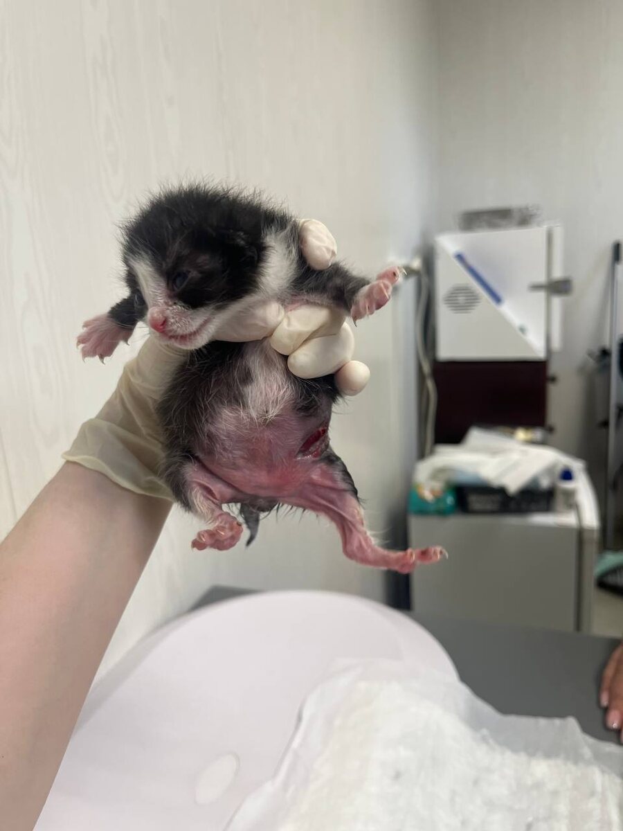 На первом приеме