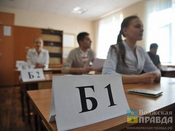     264 вакансии, ремонт 15-й и перевод 32-й: Елена Илларионова рассказала об образовании в Волжском
