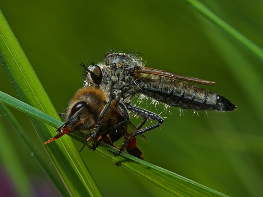 Фотография взята из открытых источников