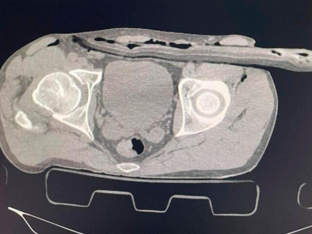    Фото: телеграм-канал "Разборчивым почерком"