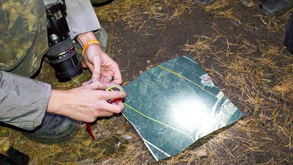    Поиски пропавшего человека. Источник: "Лиза Алерт"