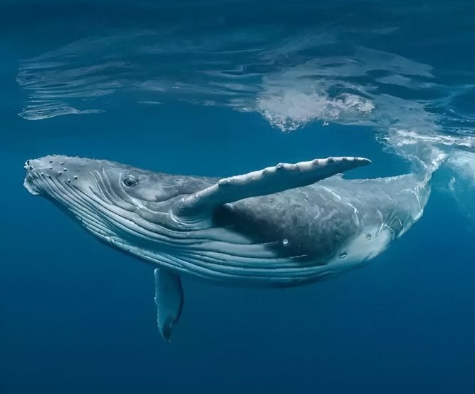    Фото: социальные сети