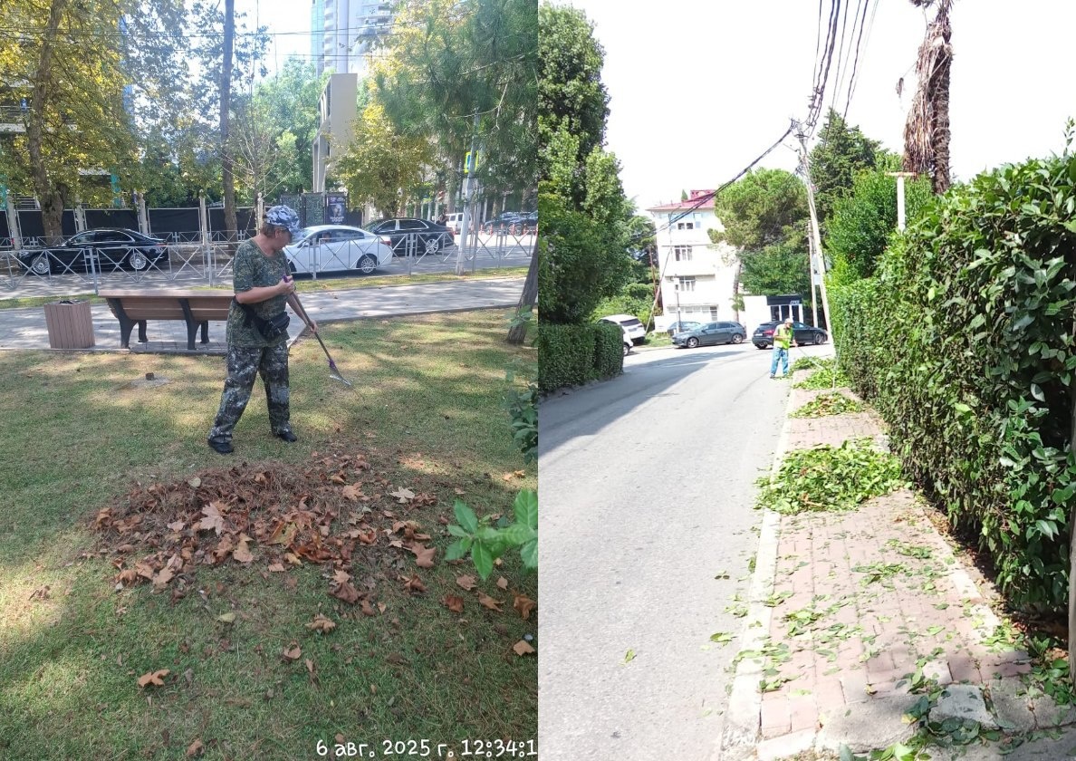    Фото: Telegram/МЦУ Сочи