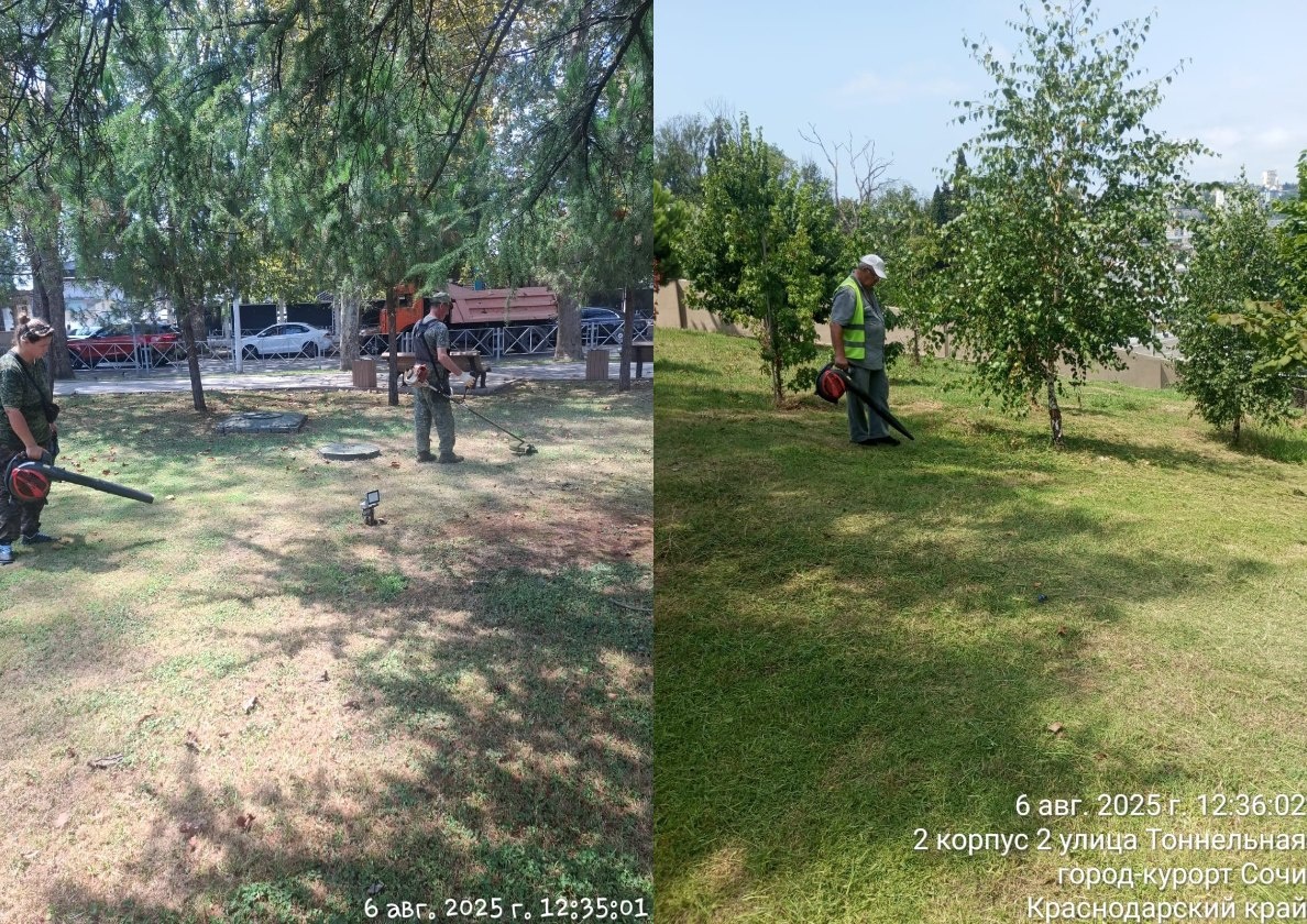    Фото: Telegram/МЦУ Сочи