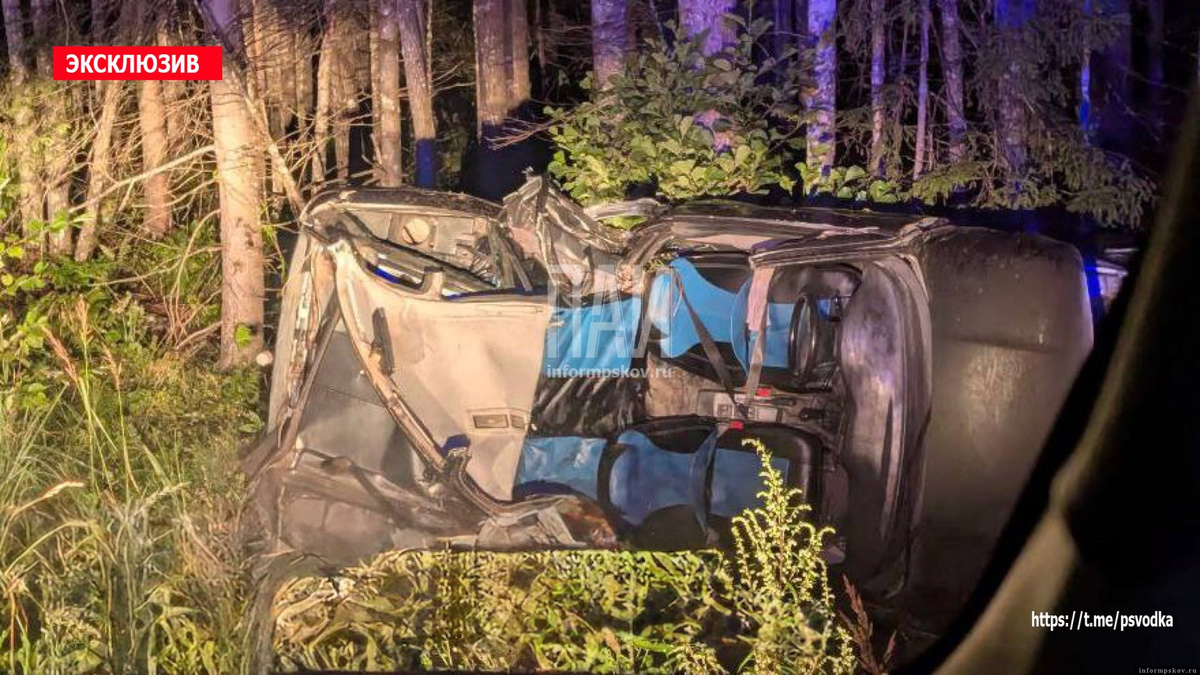 Фото здесь и далее: Telegram-канал «Псковская сводка. ПАИ»