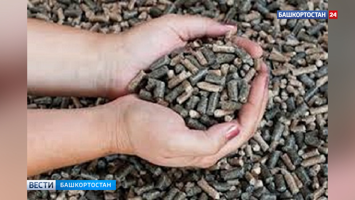    Башкортостан экспортировал в Туркменистан пробную партию подсолнечного шрота