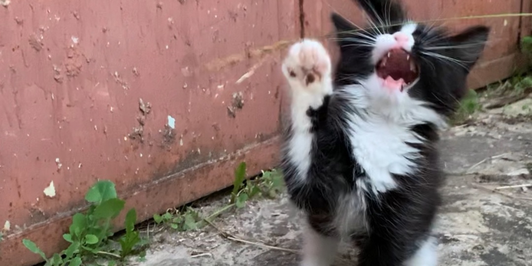 Сидела в крапиве и плакала