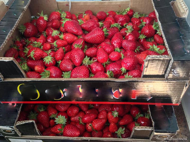 Фото только купленной ягоды