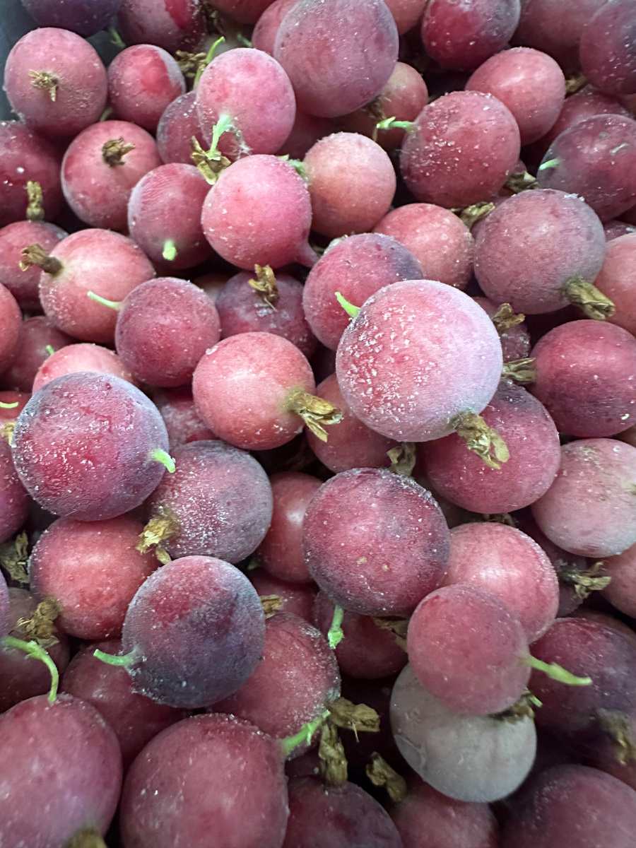 Как-будто это яблоки на фото, на самом деле мой крыжовник для компота