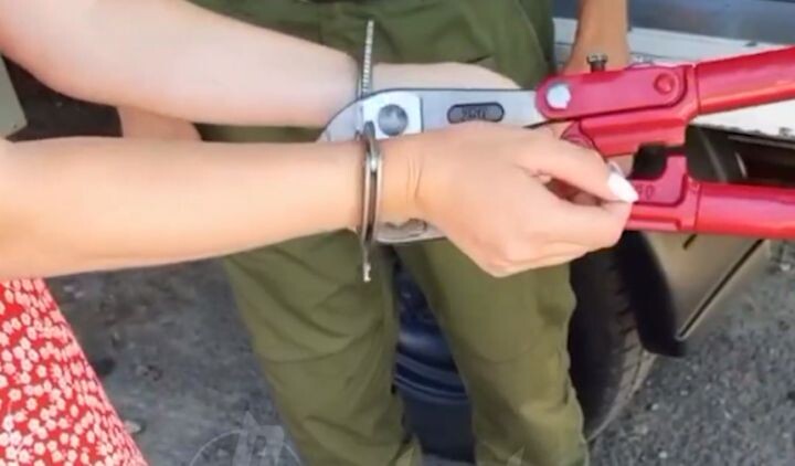    Фото: кадр из видео