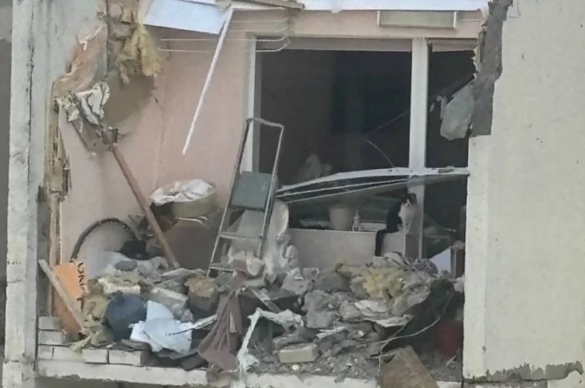    В Саратове спасли сидевшую в руинах кошку Масяню